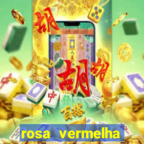 rosa vermelha (letra e cifra)